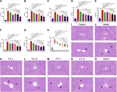 The anti-cholestatic effects of Coptis chinensis Franch. alone and combined with Tetradium ruticarpum (A. Jussieu) T. G. Hartley: dual effects on fecal metabolism and microbial diversity